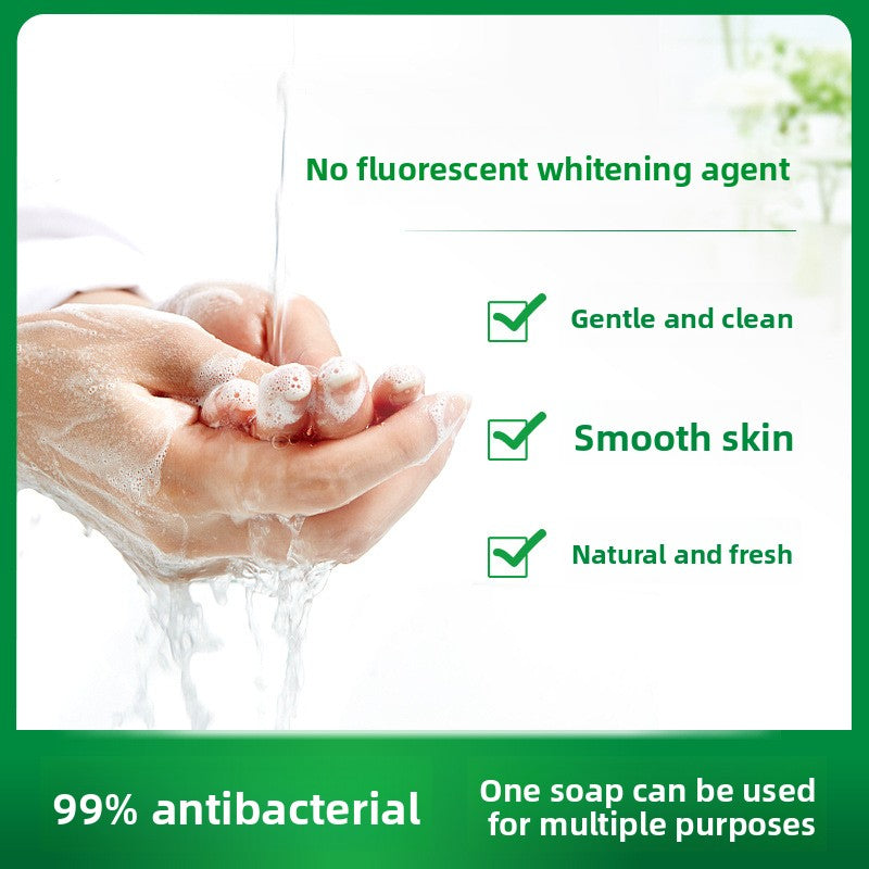 Antibacterial Moisturizing Mint Soap