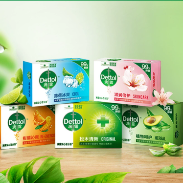 Antibacterial Moisturizing Mint Soap